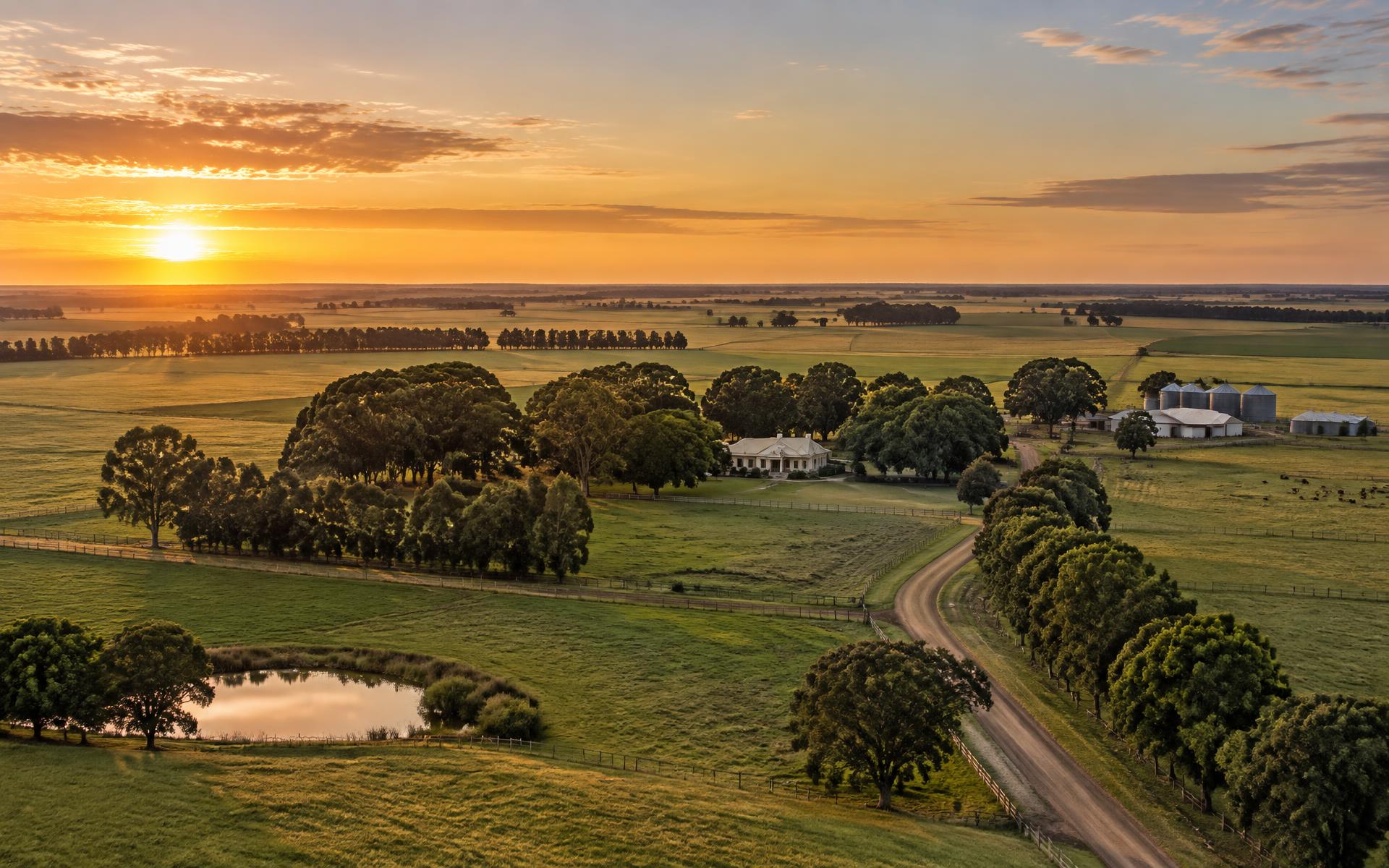 Estancia argentina productiva al atardecer